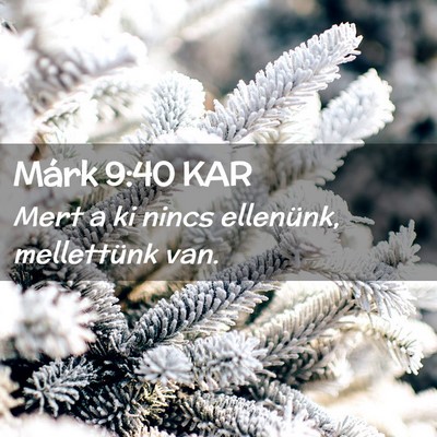Picture 02 - Márk 9:40 KAR - Mert a ki nincs ellenünk, mellettünk - Bible Verse Picture