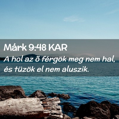 Picture 02 - Márk 9:48 KAR - A hol az õ férgök meg nem hal, és tüzök el - Bible Verse Picture