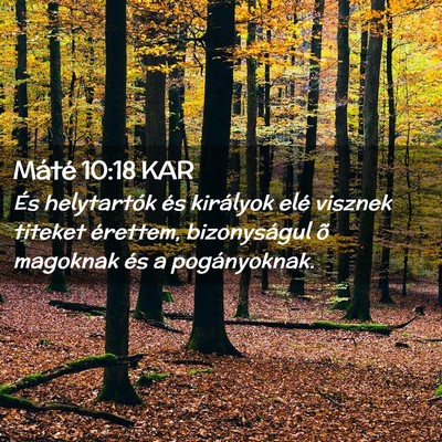 Picture 02 - Máté 10:18 KAR - És helytartók és királyok elé visznek - Bible Verse Picture