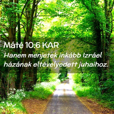 Picture 02 - Máté 10:6 KAR - Hanem menjetek inkább Izráel házának - Bible Verse Picture