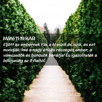 Picture 02 - Máté 11:19 KAR - Eljött az embernek Fia, a ki eszik és iszik, - Bible Verse Picture