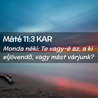 Picture 02 - Máté 11:3 KAR - Monda néki: Te vagy-é az, a ki eljövendõ, - Bible Verse Picture