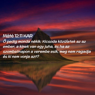 Picture 02 - Máté 12:11 KAR - Õ pedig monda nékik: Kicsoda közületek az az - Bible Verse Picture