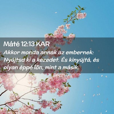 Picture 02 - Máté 12:13 KAR - Akkor monda annak az embernek: Nyújtsd ki a - Bible Verse Picture