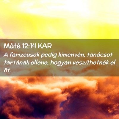 Picture 02 - Máté 12:14 KAR - A farizeusok pedig kimenvén, tanácsot tartának - Bible Verse Picture
