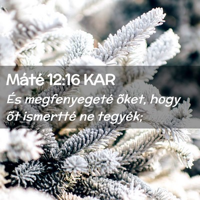 Picture 02 - Máté 12:16 KAR - És megfenyegeté õket, hogy õt ismertté ne - Bible Verse Picture
