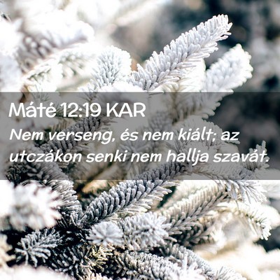 Picture 02 - Máté 12:19 KAR - Nem verseng, és nem kiált; az utczákon senki - Bible Verse Picture