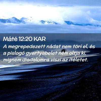 Picture 02 - Máté 12:20 KAR - A megrepedezett nádat nem töri el, és a - Bible Verse Picture