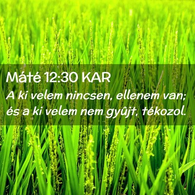 Picture 02 - Máté 12:30 KAR - A ki velem nincsen, ellenem van; és a ki velem - Bible Verse Picture