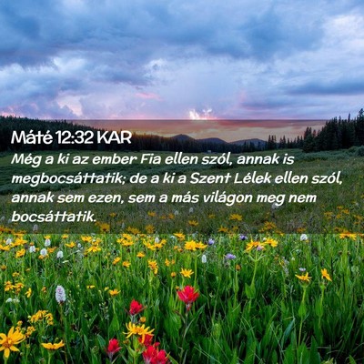 Picture 02 - Máté 12:32 KAR - Még a ki az ember Fia ellen szól, annak is - Bible Verse Picture