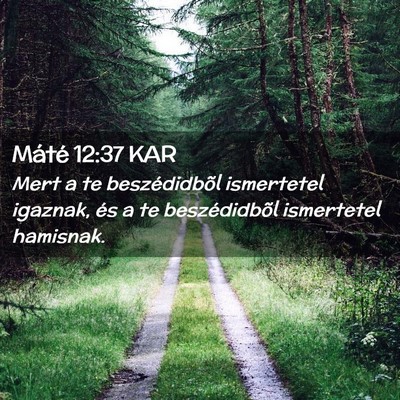 Picture 02 - Máté 12:37 KAR - Mert a te beszédidbõl ismertetel igaznak, és a - Bible Verse Picture