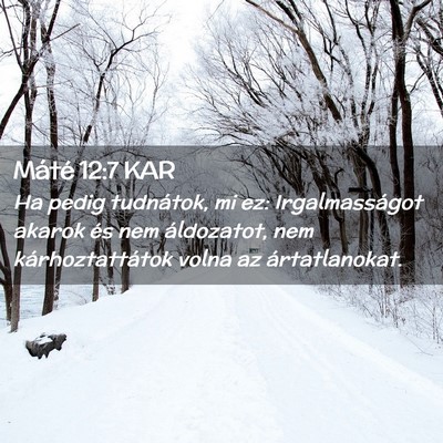 Picture 02 - Máté 12:7 KAR - Ha pedig tudnátok, mi ez: Irgalmasságot akarok - Bible Verse Picture