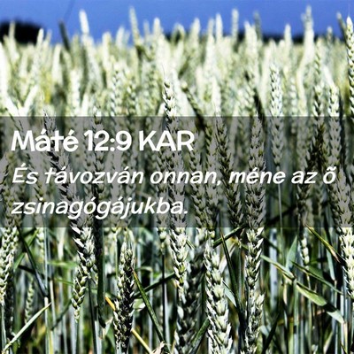 Picture 02 - Máté 12:9 KAR - És távozván onnan, méne az õ - Bible Verse Picture