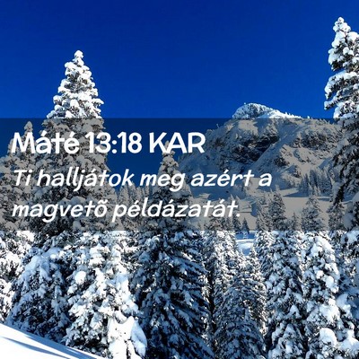 Picture 02 - Máté 13:18 KAR - Ti halljátok meg azért a magvetõ - Bible Verse Picture