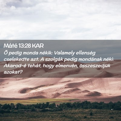 Picture 02 - Máté 13:28 KAR - Õ pedig monda nékik: Valamely ellenség - Bible Verse Picture