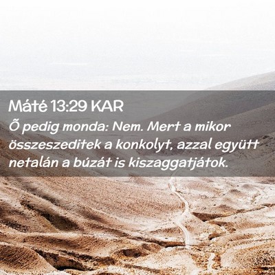 Picture 02 - Máté 13:29 KAR - Õ pedig monda: Nem. Mert a mikor összeszeditek - Bible Verse Picture