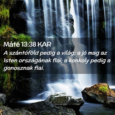Picture 02 - Máté 13:38 KAR - A szántóföld pedig a világ; a jó mag az - Bible Verse Picture