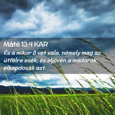 Picture 02 - Máté 13:4 KAR - És a mikor õ vet vala, némely mag az útfélre - Bible Verse Picture