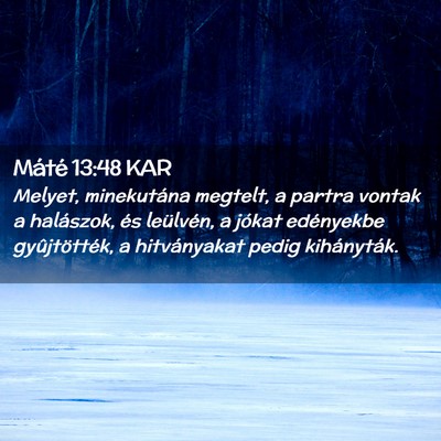 Picture 02 - Máté 13:48 KAR - Melyet, minekutána megtelt, a partra vontak a - Bible Verse Picture