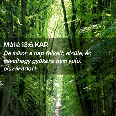 Picture 02 - Máté 13:6 KAR - De mikor a nap felkelt, elsüle; és mivelhogy - Bible Verse Picture