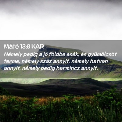 Picture 02 - Máté 13:8 KAR - Némely pedig a jó földbe esék, és - Bible Verse Picture