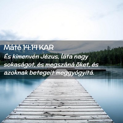 Picture 02 - Máté 14:14 KAR - És kimenvén Jézus, láta nagy sokaságot, és - Bible Verse Picture
