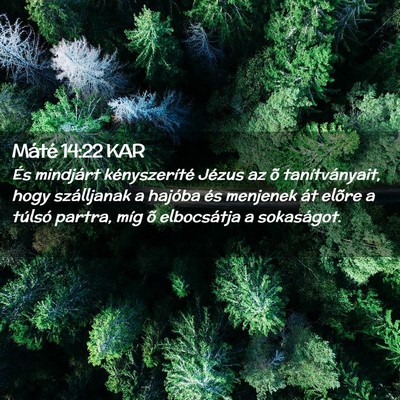 Picture 02 - Máté 14:22 KAR - És mindjárt kényszeríté Jézus az õ - Bible Verse Picture