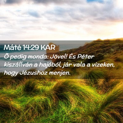 Picture 02 - Máté 14:29 KAR - Õ pedig monda: Jövel! És Péter kiszállván a - Bible Verse Picture