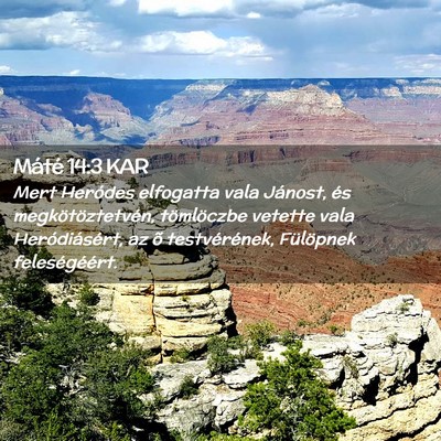 Picture 02 - Máté 14:3 KAR - Mert Heródes elfogatta vala Jánost, és - Bible Verse Picture
