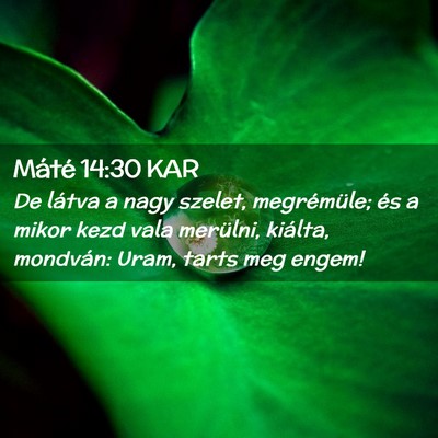 Picture 02 - Máté 14:30 KAR - De látva a nagy szelet, megrémüle; és a mikor - Bible Verse Picture