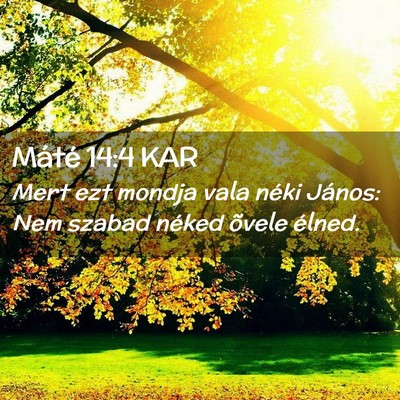 Picture 02 - Máté 14:4 KAR - Mert ezt mondja vala néki János: Nem szabad - Bible Verse Picture