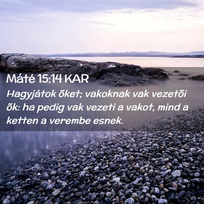 Picture 02 - Máté 15:14 KAR - Hagyjátok õket; vakoknak vak vezetõi õk: ha - Bible Verse Picture