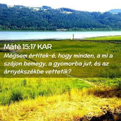 Picture 02 - Máté 15:17 KAR - Mégsem értitek-é, hogy minden, a mi a szájon - Bible Verse Picture