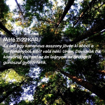 Picture 02 - Máté 15:22 KAR - És ímé egy kananeus asszony jövén ki abból - Bible Verse Picture