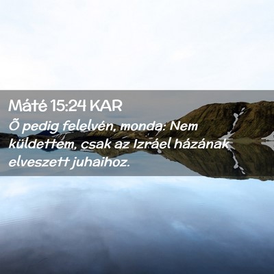 Picture 02 - Máté 15:24 KAR - Õ pedig felelvén, monda: Nem küldettem, csak - Bible Verse Picture