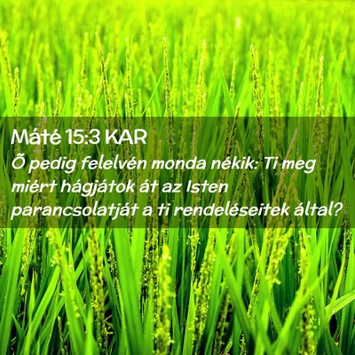 Picture 02 - Máté 15:3 KAR - Õ pedig felelvén monda nékik: Ti meg miért - Bible Verse Picture