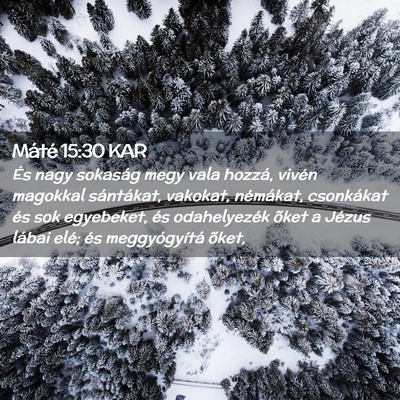 Picture 02 - Máté 15:30 KAR - És nagy sokaság megy vala hozzá, vivén - Bible Verse Picture