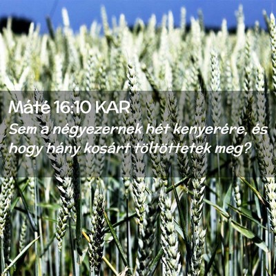 Picture 02 - Máté 16:10 KAR - Sem a négyezernek hét kenyerére, és hogy - Bible Verse Picture