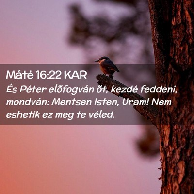 Picture 02 - Máté 16:22 KAR - És Péter elõfogván õt, kezdé feddeni, - Bible Verse Picture