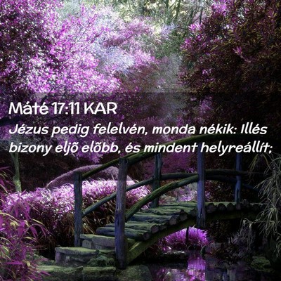 Picture 02 - Máté 17:11 KAR - Jézus pedig felelvén, monda nékik: Illés - Bible Verse Picture