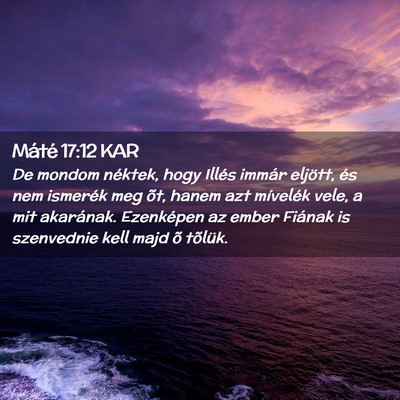 Picture 02 - Máté 17:12 KAR - De mondom néktek, hogy Illés immár eljött, - Bible Verse Picture