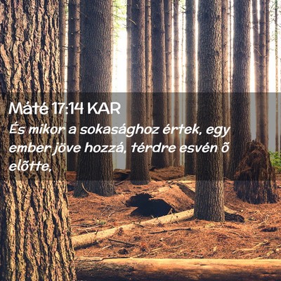 Picture 02 - Máté 17:14 KAR - És mikor a sokasághoz értek, egy ember jöve - Bible Verse Picture