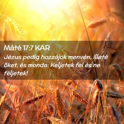Picture 02 - Máté 17:7 KAR - Jézus pedig hozzájok menvén, illeté õket, - Bible Verse Picture