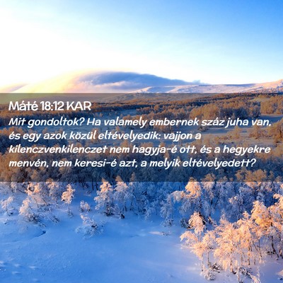 Picture 02 - Máté 18:12 KAR - Mit gondoltok? Ha valamely embernek száz juha - Bible Verse Picture