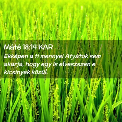 Picture 02 - Máté 18:14 KAR - Ekképen a ti mennyei Atyátok sem akarja, hogy - Bible Verse Picture