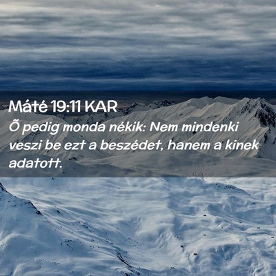 Picture 02 - Máté 19:11 KAR - Õ pedig monda nékik: Nem mindenki veszi be ezt - Bible Verse Picture