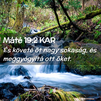 Picture 02 - Máté 19:2 KAR - És követé õt nagy sokaság, és - Bible Verse Picture