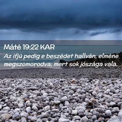 Picture 02 - Máté 19:22 KAR - Az ifjú pedig e beszédet hallván, elméne - Bible Verse Picture