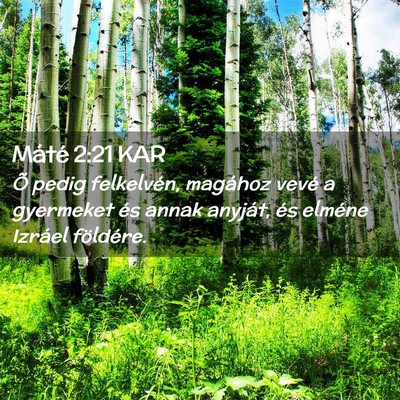 Picture 02 - Máté 2:21 KAR - Õ pedig felkelvén, magához vevé a gyermeket - Bible Verse Picture