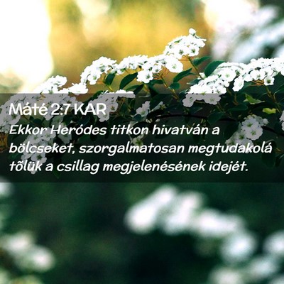 Picture 02 - Máté 2:7 KAR - Ekkor Heródes titkon hivatván a bölcseket, - Bible Verse Picture